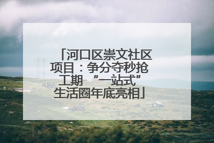 河口区崇文社区项目：争分夺秒抢工期 “一站式”生活圈年底亮相