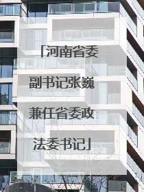 河南省委副书记张巍兼任省委政法委书记
