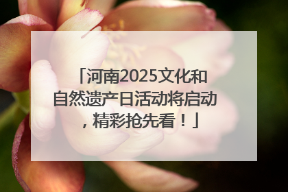 河南2025文化和自然遗产日活动将启动，精彩抢先看！
