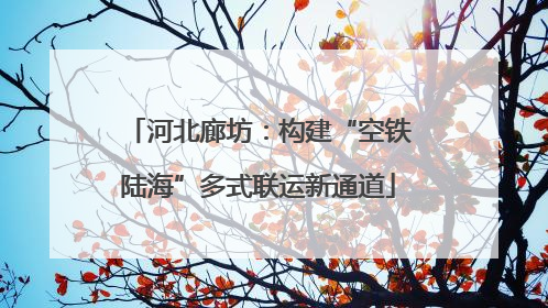 河北廊坊：构建“空铁陆海”多式联运新通道