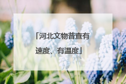河北文物普查有速度、有温度