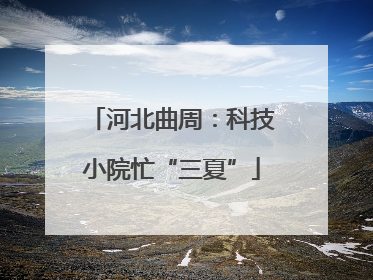 河北曲周：科技小院忙“三夏”