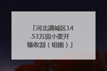 河北满城区14.53万亩小麦开镰收割（组图）