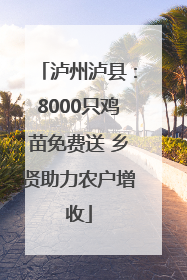 泸州泸县：8000只鸡苗免费送 乡贤助力农户增收