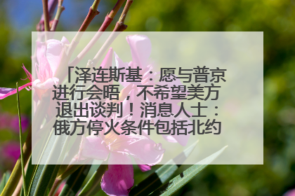 泽连斯基：愿与普京进行会晤，不希望美方退出谈判！消息人士：俄方停火条件包括北约“书面”保证不东扩