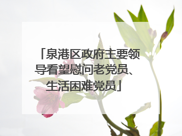 泉港区政府主要领导看望慰问老党员、生活困难党员