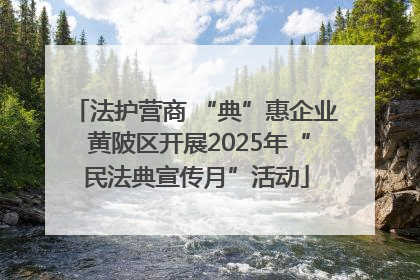 法护营商 “典”惠企业 黄陂区开展2025年“民法典宣传月”活动