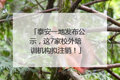 泰安一地发布公示，这7家校外培训机构拟注销！