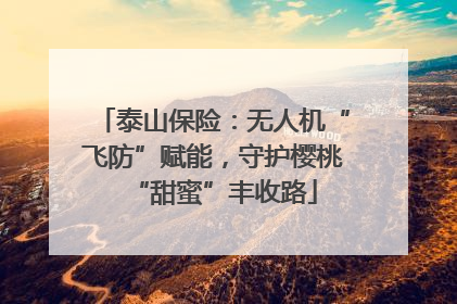 泰山保险：无人机“飞防”赋能，守护樱桃“甜蜜”丰收路