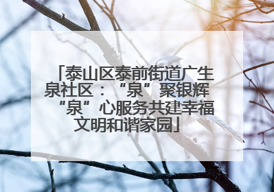 泰山区泰前街道广生泉社区：“泉”聚银辉“泉”心服务共建幸福文明和谐家园