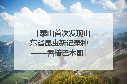 泰山首次发现山东省昆虫新记录种——香椿巴木虱