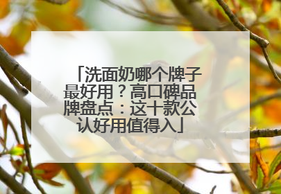 洗面奶哪个牌子最好用？高口碑品牌盘点：这十款公认好用值得入
