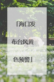 海口发布台风黄色预警