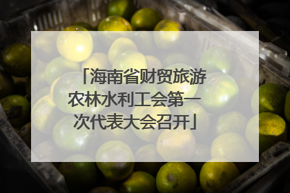 海南省财贸旅游农林水利工会第一次代表大会召开