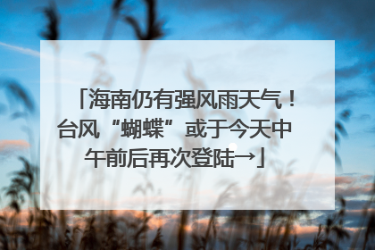 海南仍有强风雨天气！台风“蝴蝶”或于今天中午前后再次登陆→