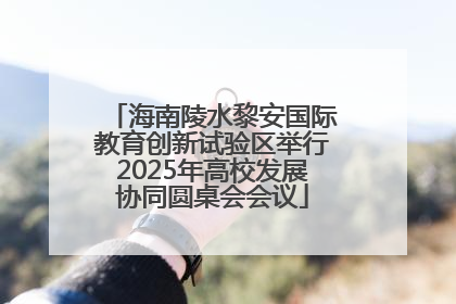 海南陵水黎安国际教育创新试验区举行2025年高校发展协同圆桌会会议