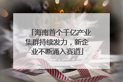 海南首个千亿产业集群持续发力，新企业不断涌入赛道