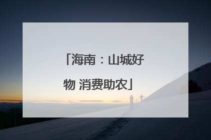 海南：山城好物 消费助农