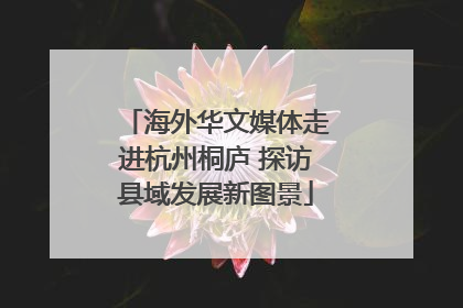 海外华文媒体走进杭州桐庐 探访县域发展新图景