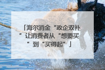 海尔消金“政企双补”让消费者从“想要买”到“买得起”
