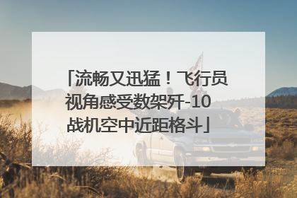 流畅又迅猛！飞行员视角感受数架歼-10战机空中近距格斗