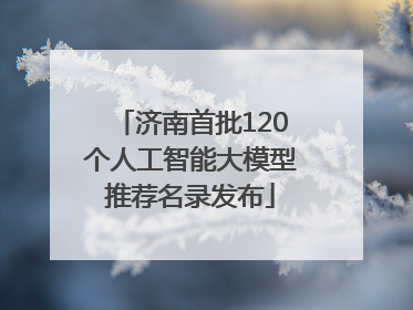 济南首批120个人工智能大模型推荐名录发布