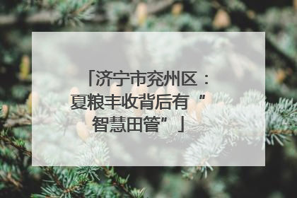 济宁市兖州区：夏粮丰收背后有“智慧田管”