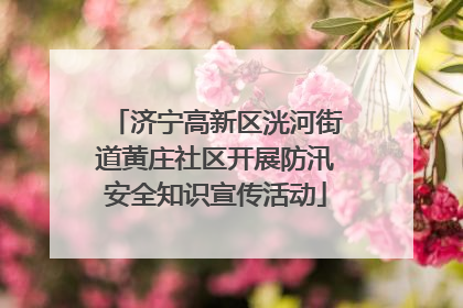 济宁高新区洸河街道黄庄社区开展防汛安全知识宣传活动