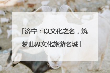 济宁：以文化之名，筑梦世界文化旅游名城