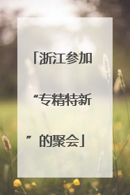 浙江参加“专精特新”的聚会