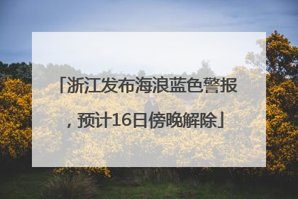 浙江发布海浪蓝色警报，预计16日傍晚解除