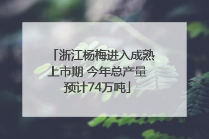 浙江杨梅进入成熟上市期 今年总产量预计74万吨