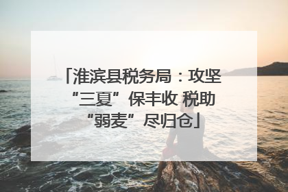 淮滨县税务局：攻坚“三夏”保丰收 税助“弱麦”尽归仓