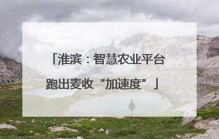淮滨：智慧农业平台跑出麦收“加速度”