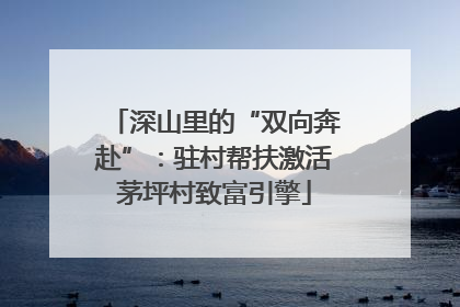 深山里的“双向奔赴”：驻村帮扶激活茅坪村致富引擎