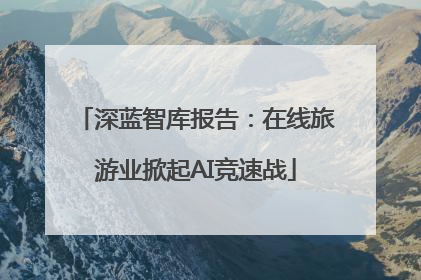 深蓝智库报告：在线旅游业掀起AI竞速战