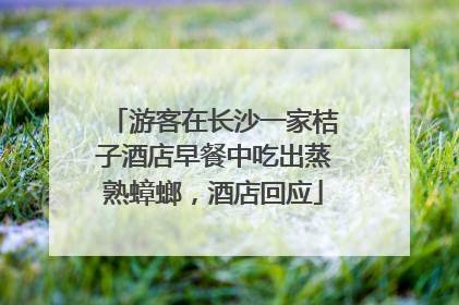游客在长沙一家桔子酒店早餐中吃出蒸熟蟑螂，酒店回应