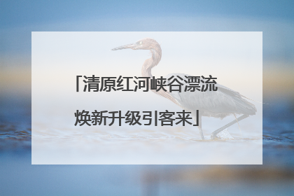 清原红河峡谷漂流焕新升级引客来