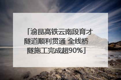 渝昆高铁云南段育才隧道顺利贯通 全线桥隧施工完成超90%
