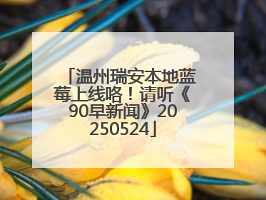 温州瑞安本地蓝莓上线咯！请听《90早新闻》20250524