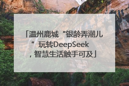 温州鹿城“银龄弄潮儿”玩转DeepSeek，智慧生活触手可及