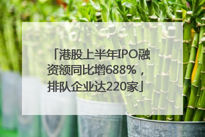 港股上半年IPO融资额同比增688%，排队企业达220家
