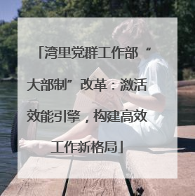湾里党群工作部“大部制”改革：激活效能引擎，构建高效工作新格局