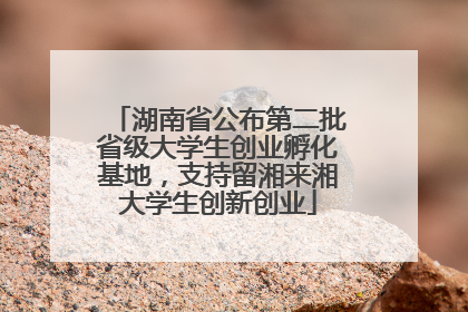 湖南省公布第二批省级大学生创业孵化基地，支持留湘来湘大学生创新创业