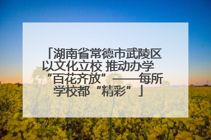 湖南省常德市武陵区以文化立校 推动办学“百花齐放”——每所学校都“精彩”