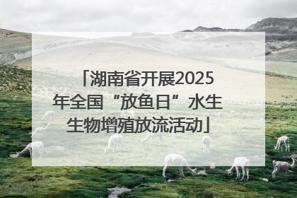 湖南省开展2025年全国“放鱼日”水生生物增殖放流活动