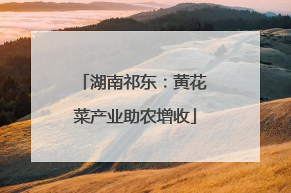 湖南祁东：黄花菜产业助农增收