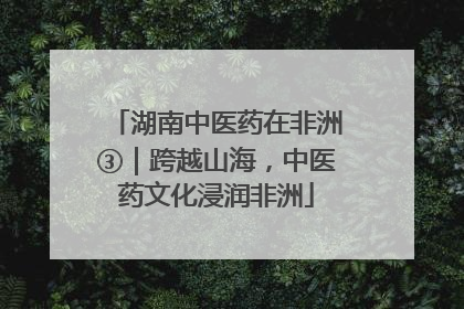 湖南中医药在非洲③｜跨越山海，中医药文化浸润非洲