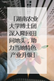湖南农业大学博士团深入隆回田间地头，助力当地特色产业升级