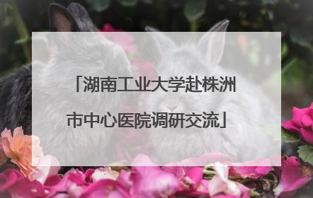 湖南工业大学赴株洲市中心医院调研交流